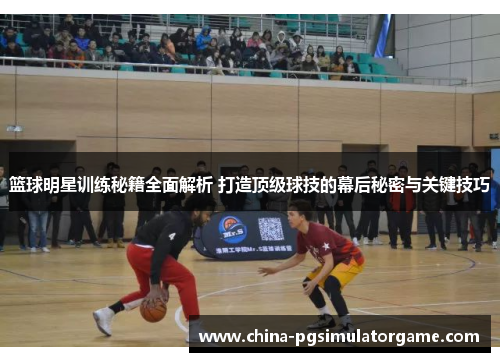 篮球明星训练秘籍全面解析 打造顶级球技的幕后秘密与关键技巧