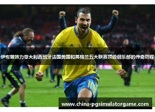 伊布曾效力意大利西班牙法国美国和英格兰五大联赛顶级俱乐部的传奇历程