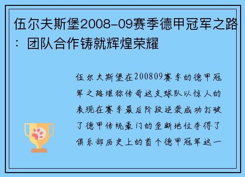 伍尔夫斯堡2008-09赛季德甲冠军之路：团队合作铸就辉煌荣耀