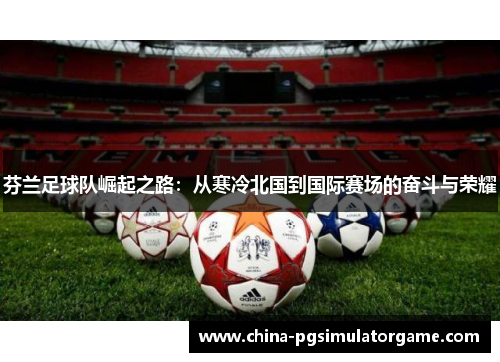 芬兰足球队崛起之路：从寒冷北国到国际赛场的奋斗与荣耀