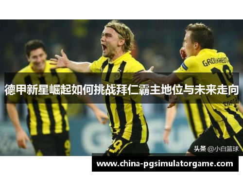 德甲新星崛起如何挑战拜仁霸主地位与未来走向