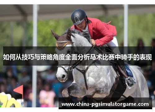 如何从技巧与策略角度全面分析马术比赛中骑手的表现