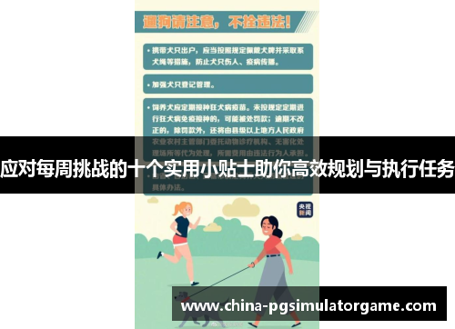 应对每周挑战的十个实用小贴士助你高效规划与执行任务