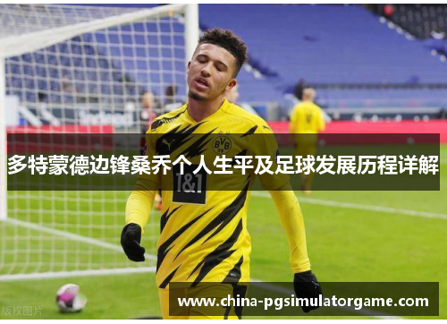 多特蒙德边锋桑乔个人生平及足球发展历程详解