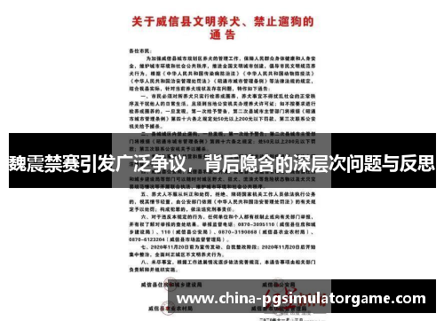 魏震禁赛引发广泛争议，背后隐含的深层次问题与反思