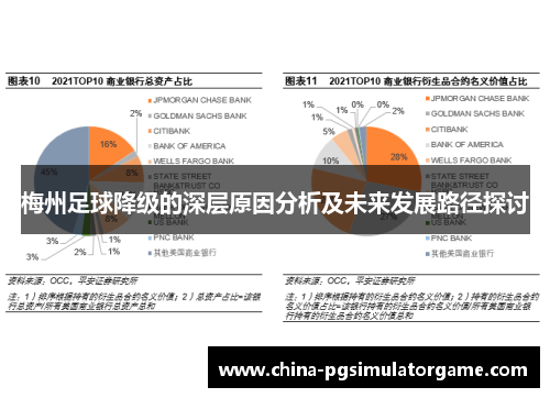 梅州足球降级的深层原因分析及未来发展路径探讨