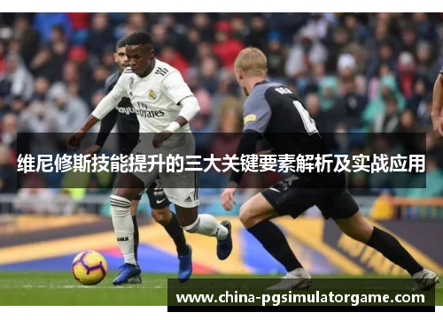 维尼修斯技能提升的三大关键要素解析及实战应用