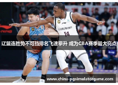 辽篮连胜势不可挡排名飞速攀升 成为CBA赛季最大亮点