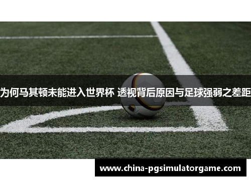 为何马其顿未能进入世界杯 透视背后原因与足球强弱之差距