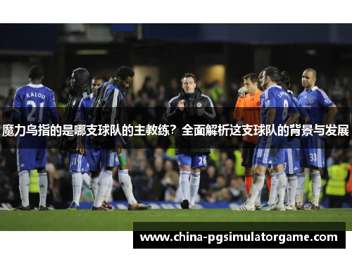 魔力鸟指的是哪支球队的主教练？全面解析这支球队的背景与发展